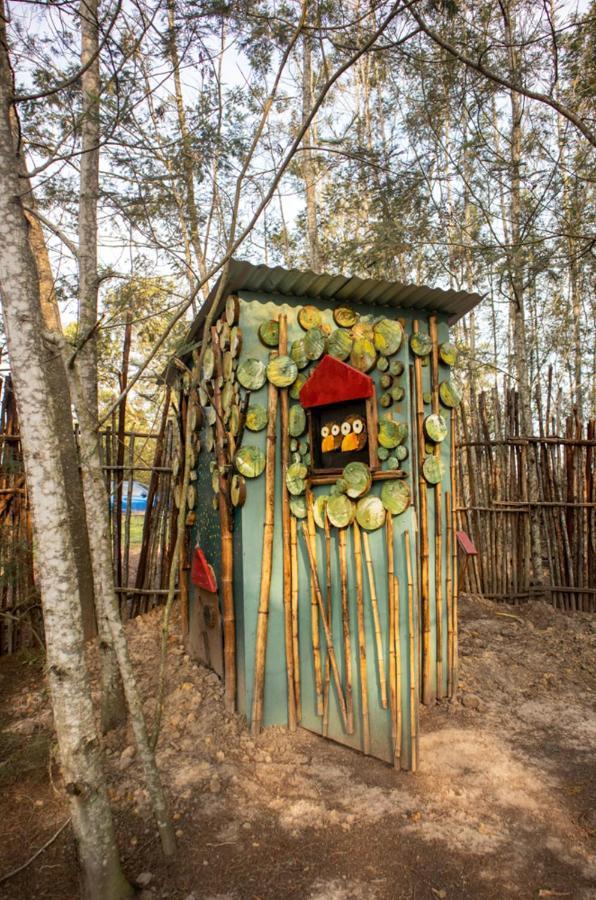 Forest Harmony Книсна Екстериор снимка