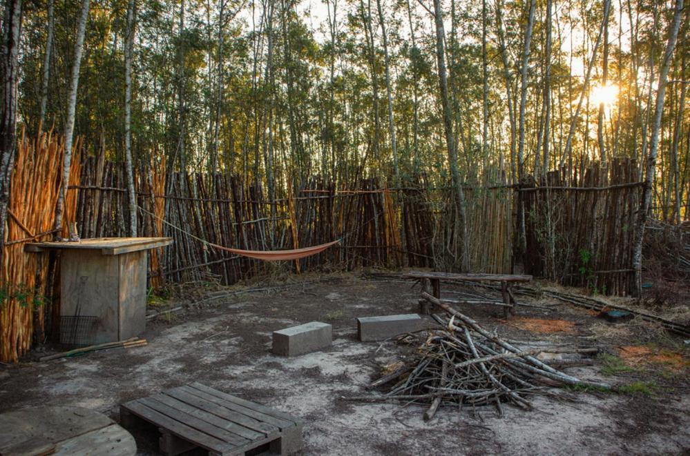 Forest Harmony Книсна Екстериор снимка