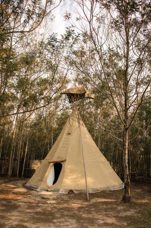 Forest Harmony Книсна Екстериор снимка